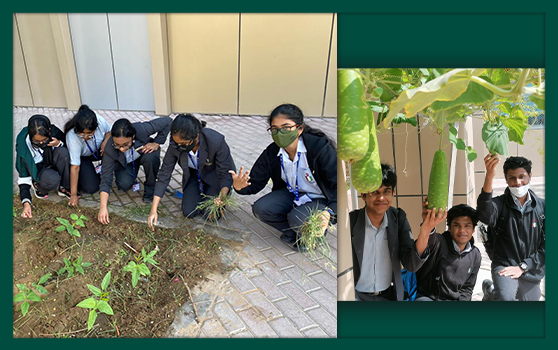 Green Revolution